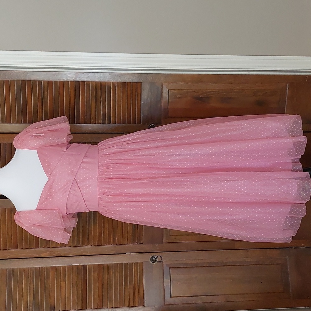 Lulu's Adorable Confidence Rose Pink Mesh Swiss Dot Midi Dress w/ Tags Sz L